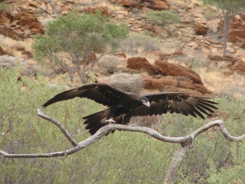 0 Seventeen Mile Road, Ravensbourne QLD 4352