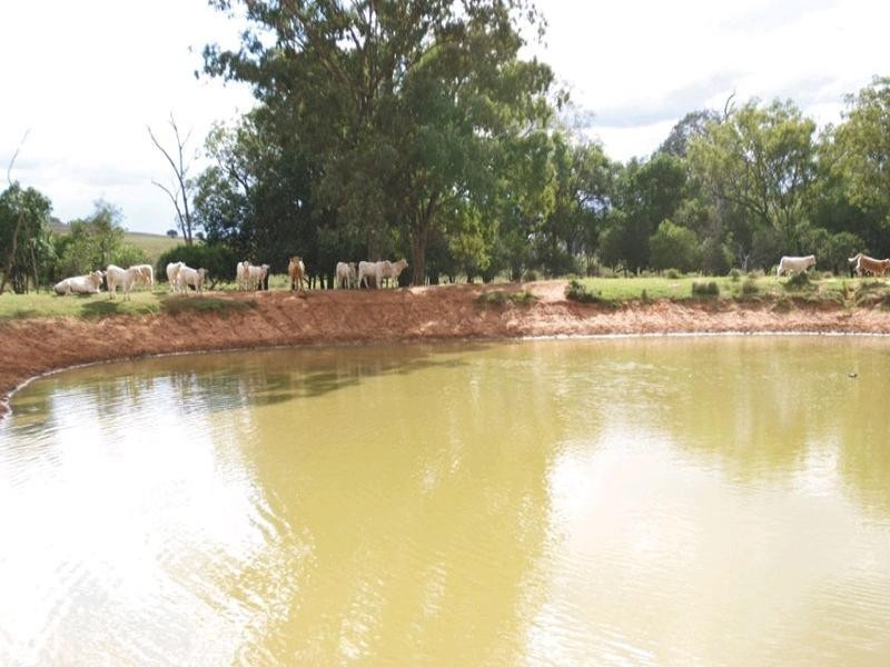 0 Pechey Maclagan Road, Oakey QLD 4401