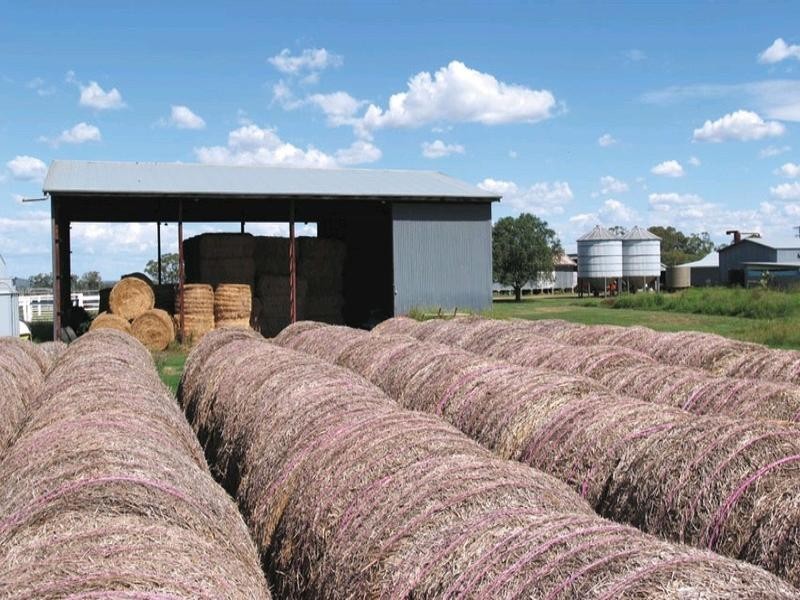 0 Pechey Maclagan Road, Oakey QLD 4401