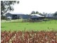 0 Pechey Maclagan Road, Oakey QLD 4401