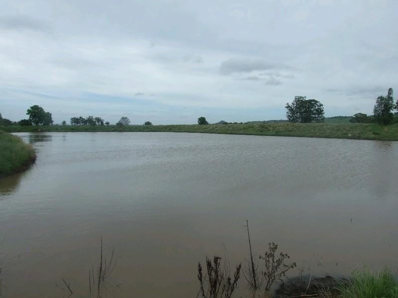 0 Pechey Maclagan Road, Oakey QLD 4401