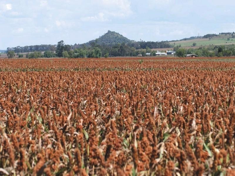 0 Pechey Maclagan Road, Toowoomba QLD 4350