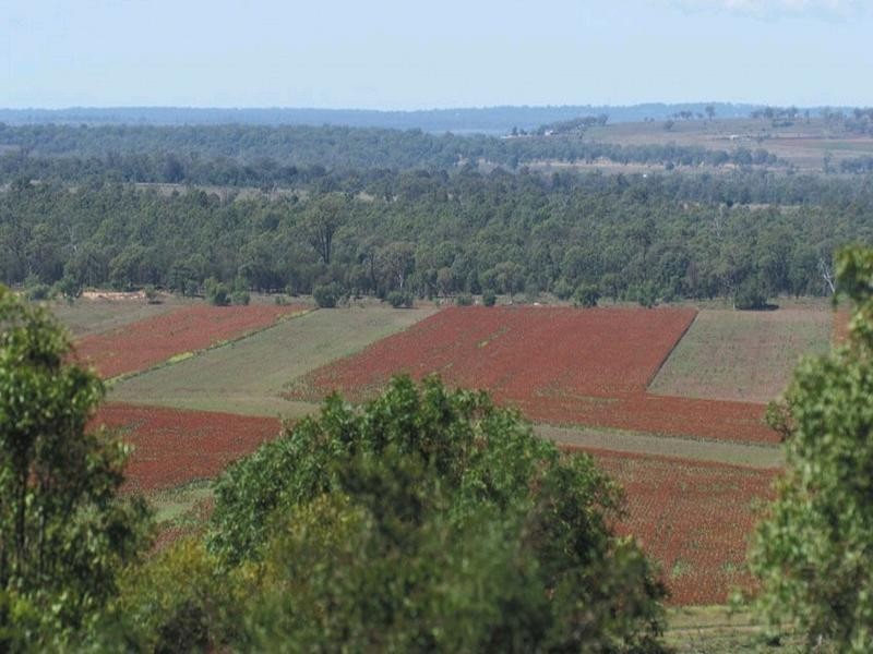 0 Pechey Maclagan Road, Toowoomba QLD 4350