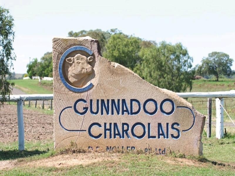 0 Pechey Maclagan Road, Crows Nest QLD 4355