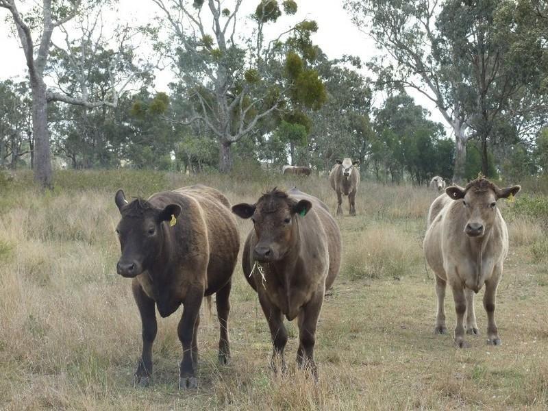 L341&187 Scherger Road, Crows Nest QLD 4355