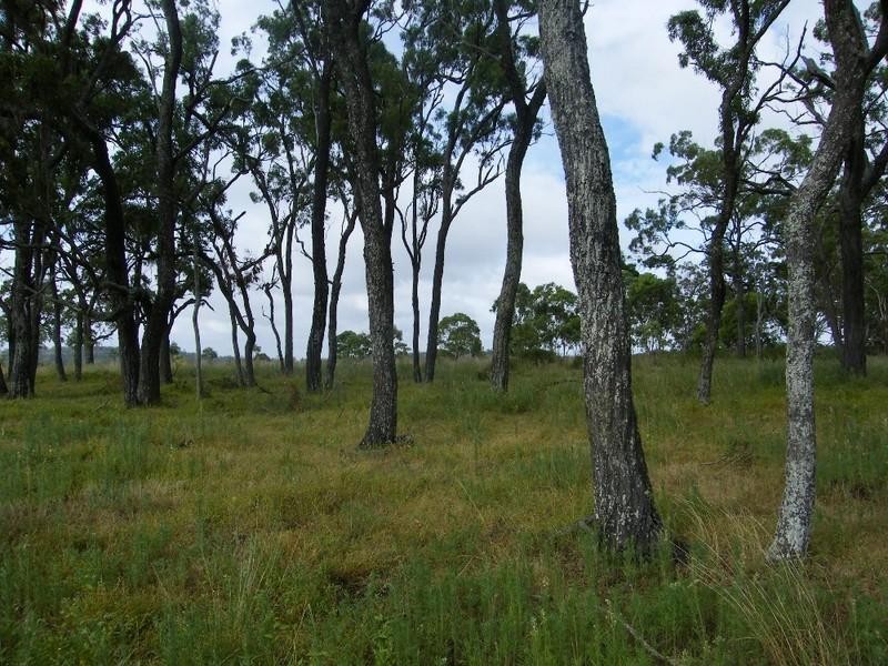 L341&187 Scherger Road, Thornville QLD 4352