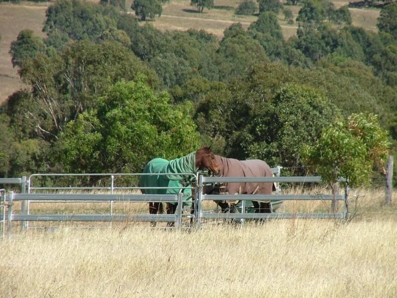 228 Valewood Road, Toowoomba QLD 4350