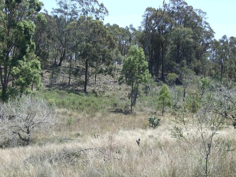 1 Goombungee Mount Darry Road, Goombungee QLD 4354