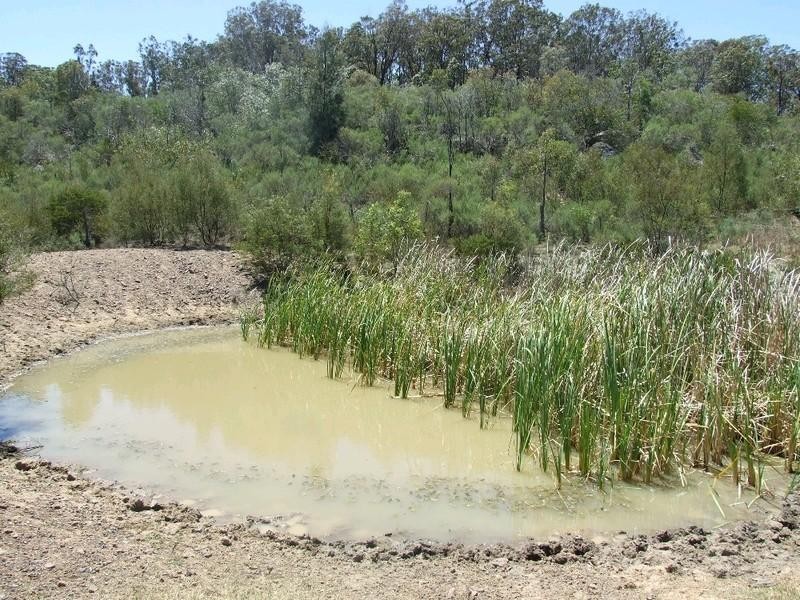 1 Goombungee Mount Darry Road, Goombungee QLD 4354