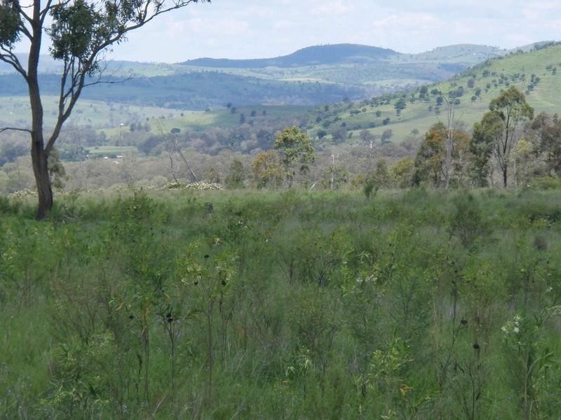 542 Tarpaulin Road, Crows Nest QLD 4355