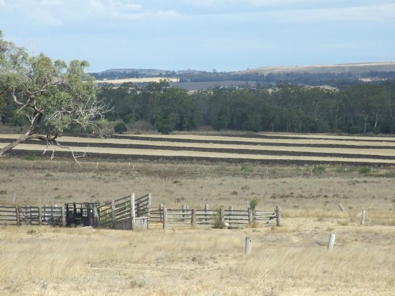 3596 Pechey Maclagan Road, Oakey QLD 4401