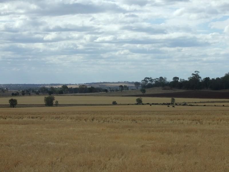 3596 Pechey Maclagan Road, Kulpi QLD 4352