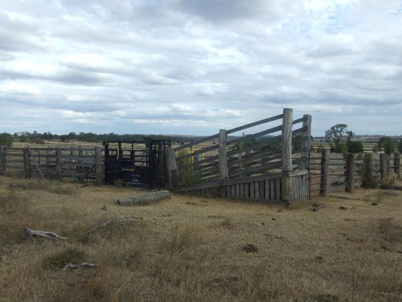 3596 Pechey Maclagan Road, Kulpi QLD 4352