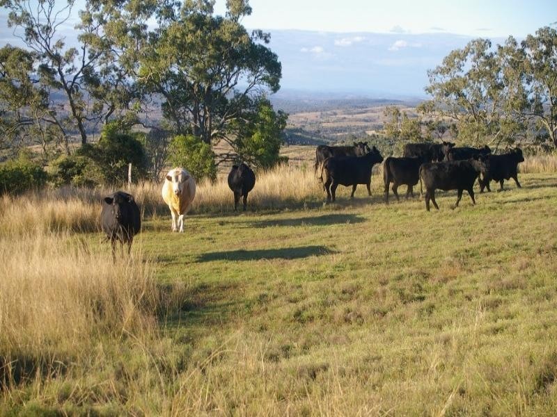 1277 Djuan Road, Haden QLD 4353