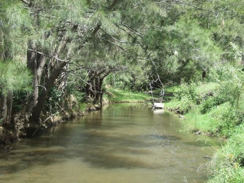 53 Fitch Road, Crows Nest QLD 4355