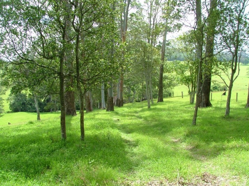 Lot F Spencer Road, Ravensbourne QLD 4352