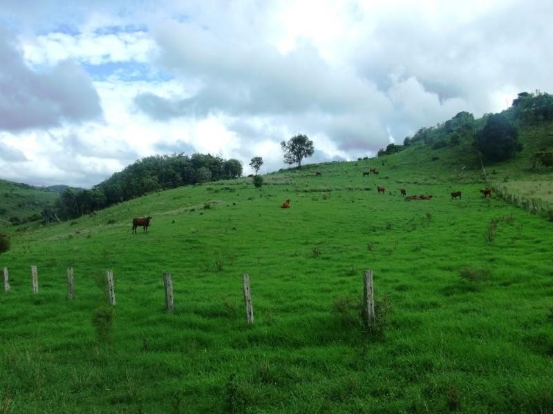 471 Upper Pinelands Road, Crows Nest QLD 4355