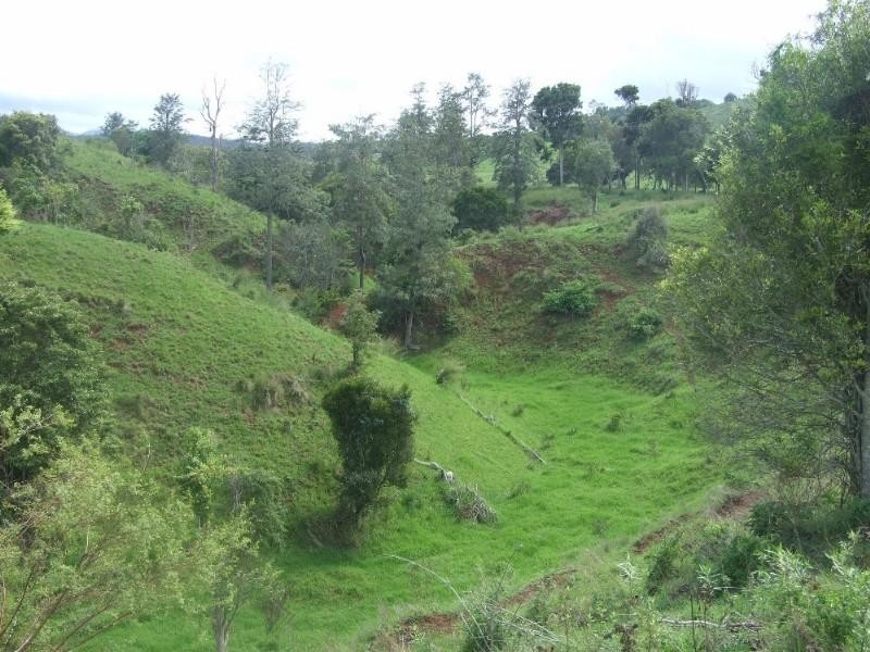 471 Upper Pinelands Road, Crows Nest QLD 4355