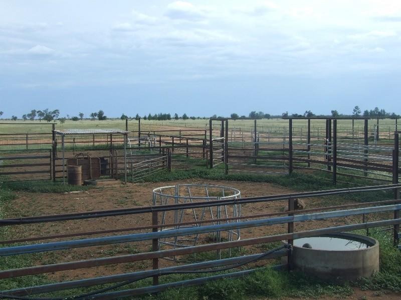 000 Bollon-Mitchell Road, Bollon QLD 4488