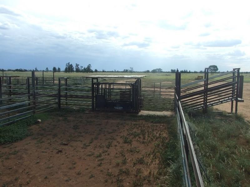 000 Bollon-Mitchell Road, Bollon QLD 4488