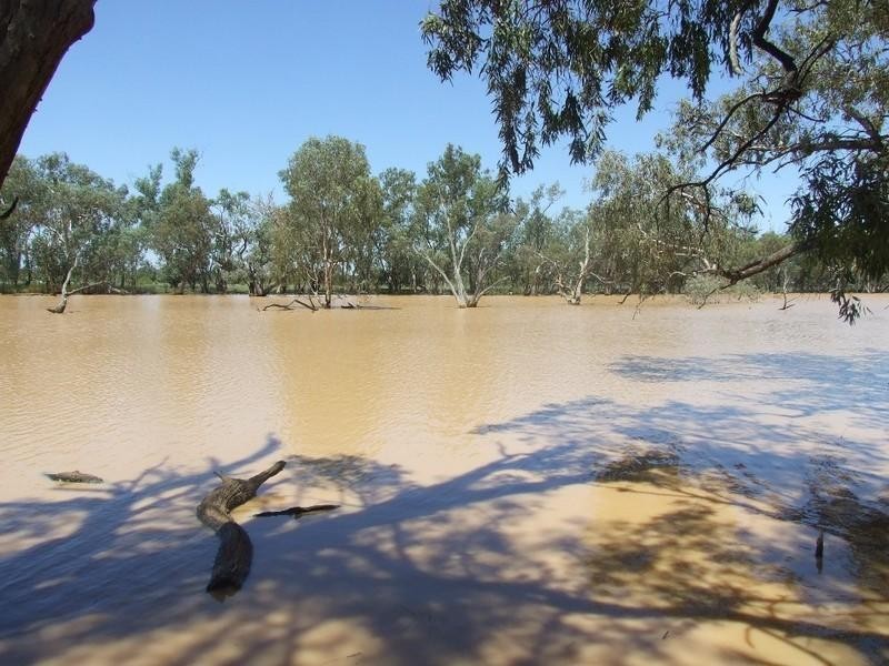 000 Bollon-Mitchell Road, Bollon QLD 4488