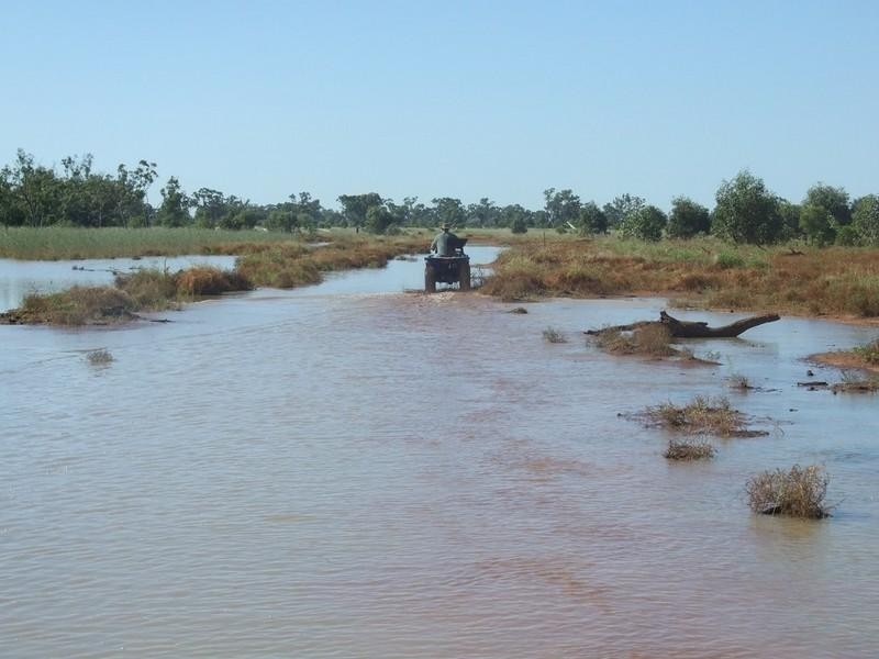000 Bollon-Mitchell Road, Bollon QLD 4488