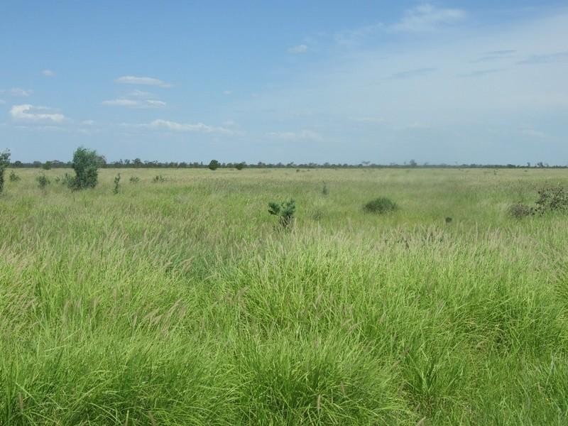 000 Bollon-Mitchell Road, Bollon QLD 4488