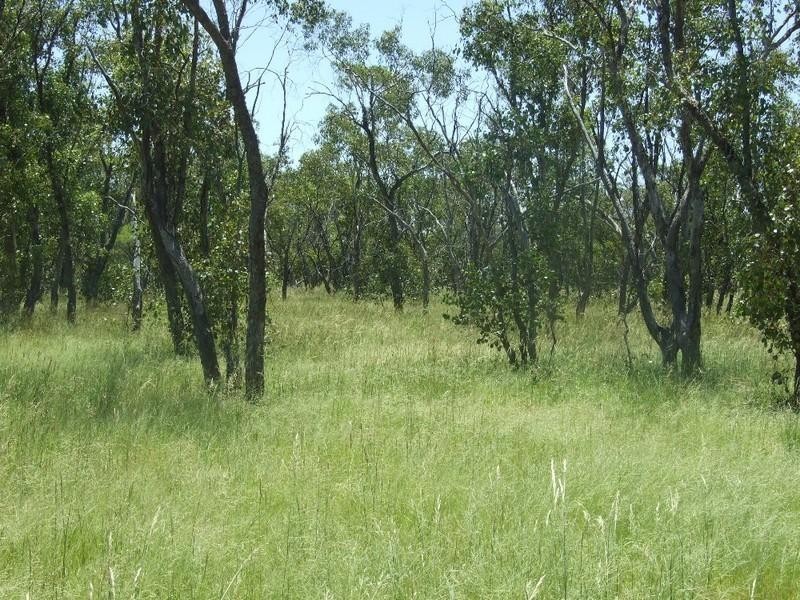 000 Bollon-Mitchell Road, Bollon QLD 4488