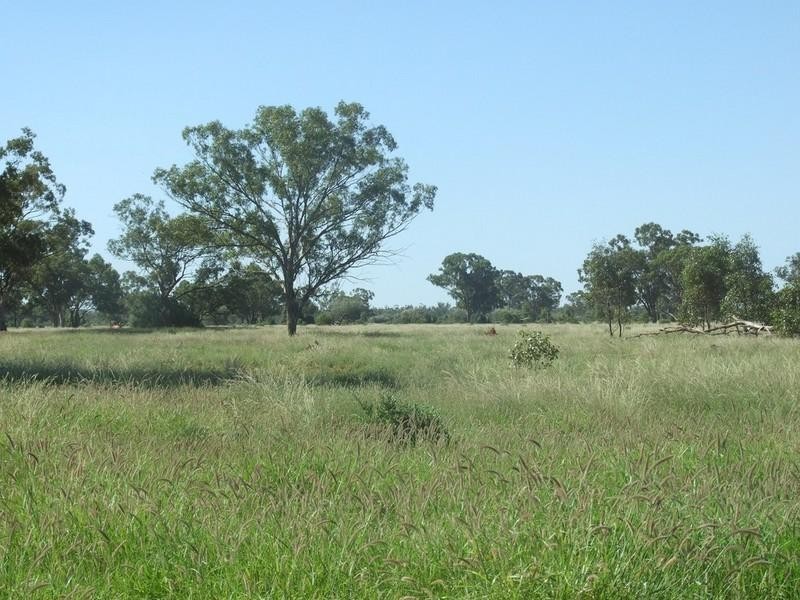 000 Bollon-Mitchell Road, Bollon QLD 4488