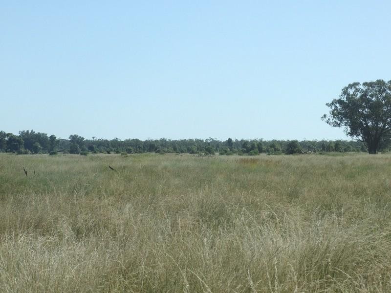 000 Bollon-Mitchell Road, Bollon QLD 4488