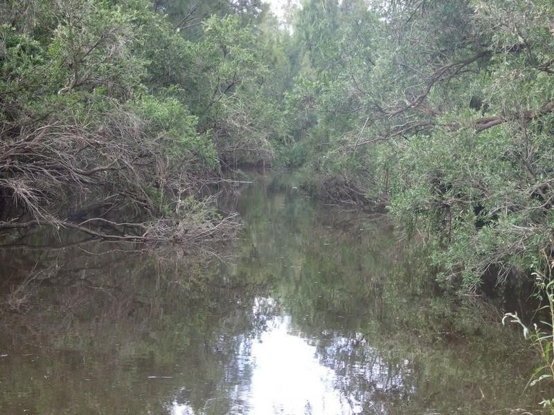 Lot 6 Pierces Creek Road, Crows Nest QLD 4355