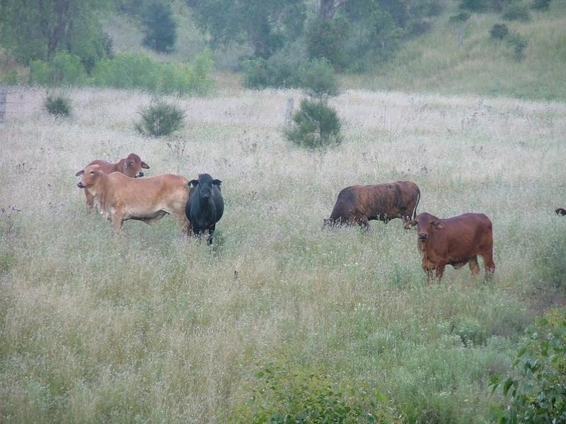 5758 New England Highway, Crows Nest QLD 4355