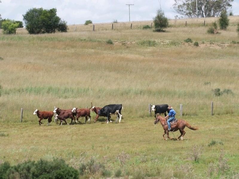 5758 New England Highway, Crows Nest QLD 4355