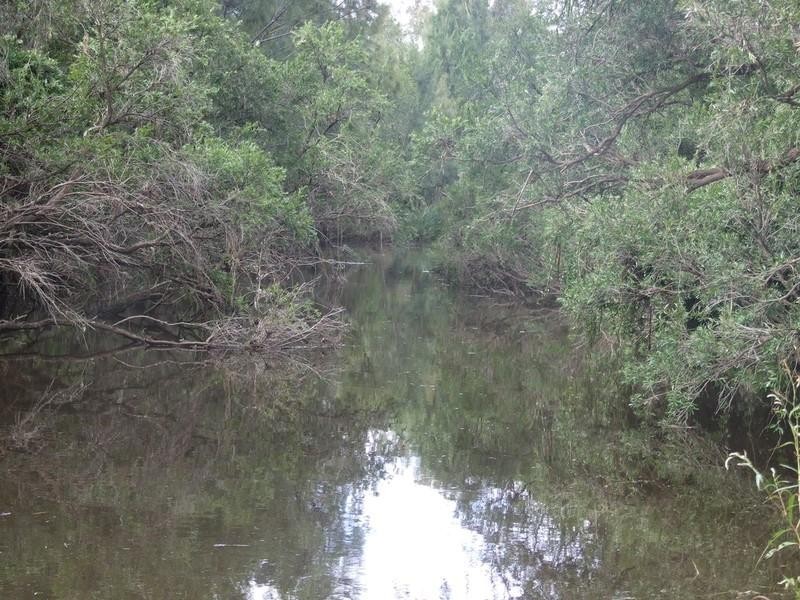 Lot 6 Pierces Creek Road, Emu Creek QLD 4355