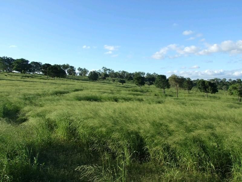 000 Pechey Maclagan Road, Toowoomba QLD 4350