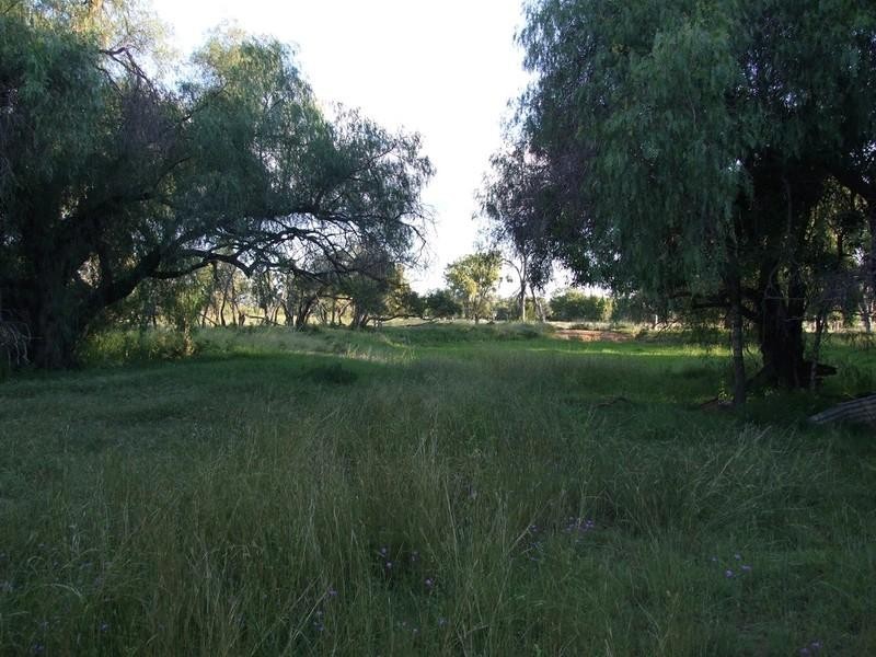 000 Pechey Maclagan Road, Toowoomba QLD 4350