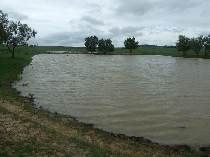 0 Pechey Maclagan Road, Goombungee QLD 4354