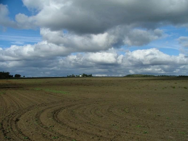 0 Pechey Maclagan Road, Goombungee QLD 4354