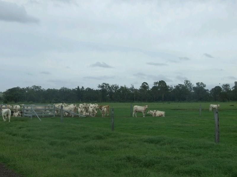 0 Pechey Maclagan Road, Goombungee QLD 4354