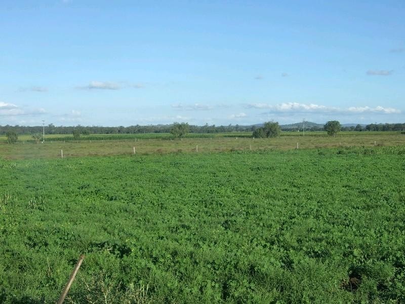 000 Pechey Maclagan Road, Goombungee QLD 4354