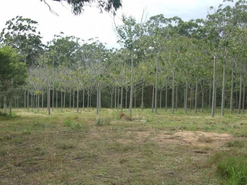 339 Perseverance Dam Road, Crows Nest QLD 4355