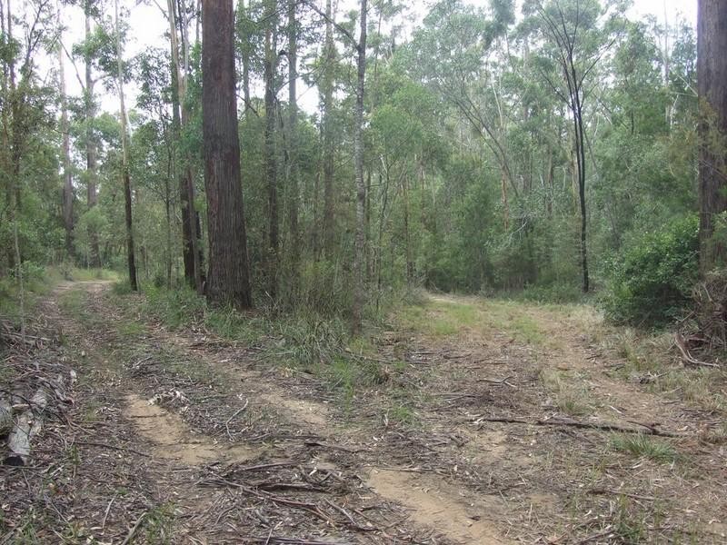 339 Perseverance Dam Road, Crows Nest QLD 4355