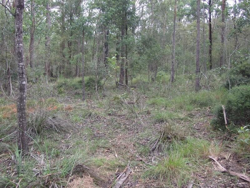 339 Perseverance Dam Road, Crows Nest QLD 4355