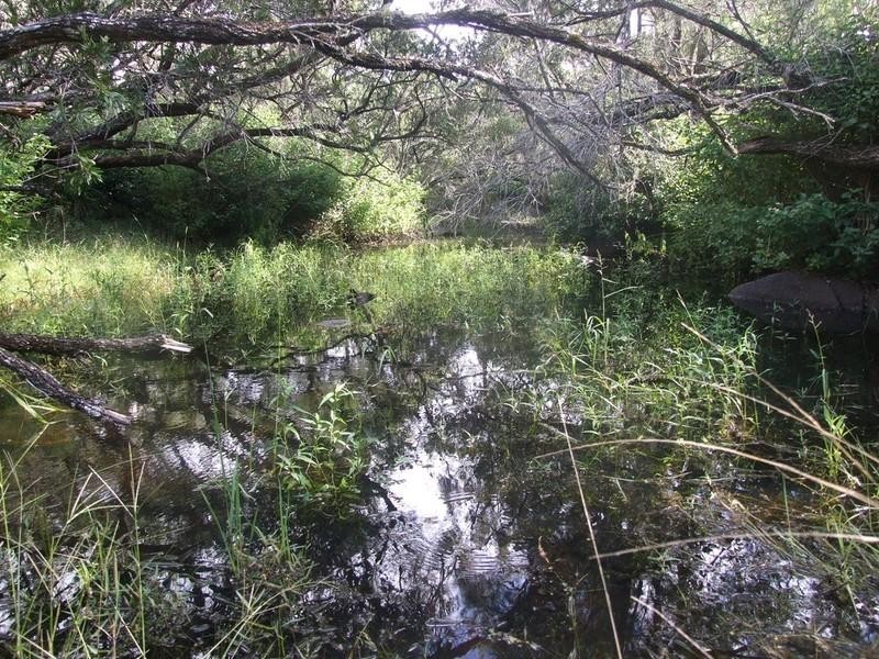 0 Perseverance Dam Road, Crows Nest QLD 4355