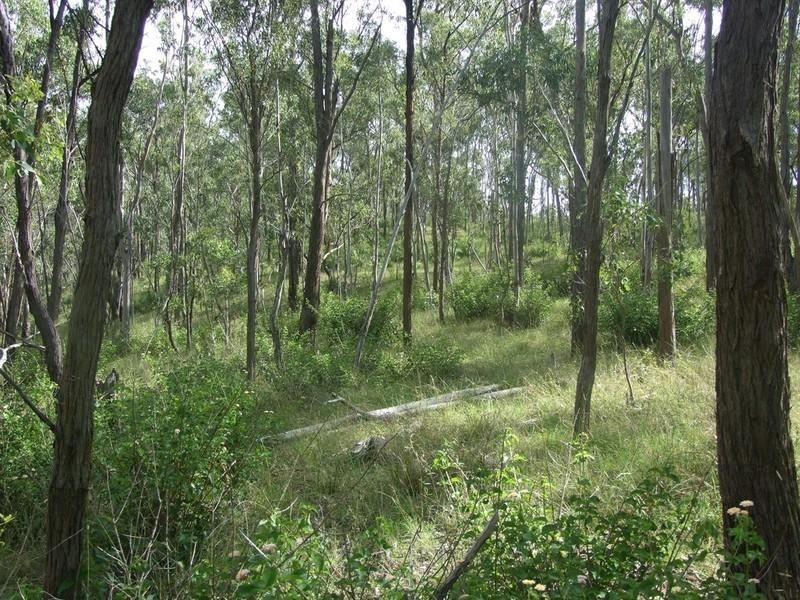 0 Perseverance Dam Road, Crows Nest QLD 4355