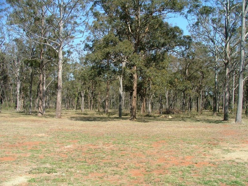 101 Forest Drive, Hampton QLD 4352