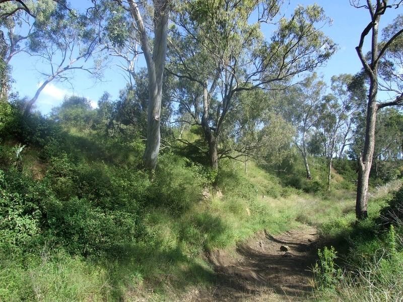 19 Schick Road, Thornville QLD 4352