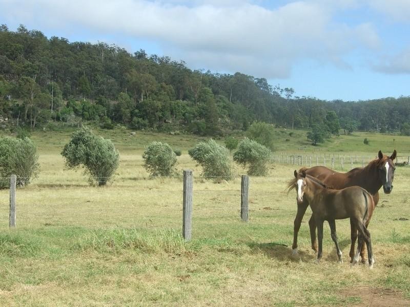 109 Lebsanft Road, Toowoomba QLD 4350