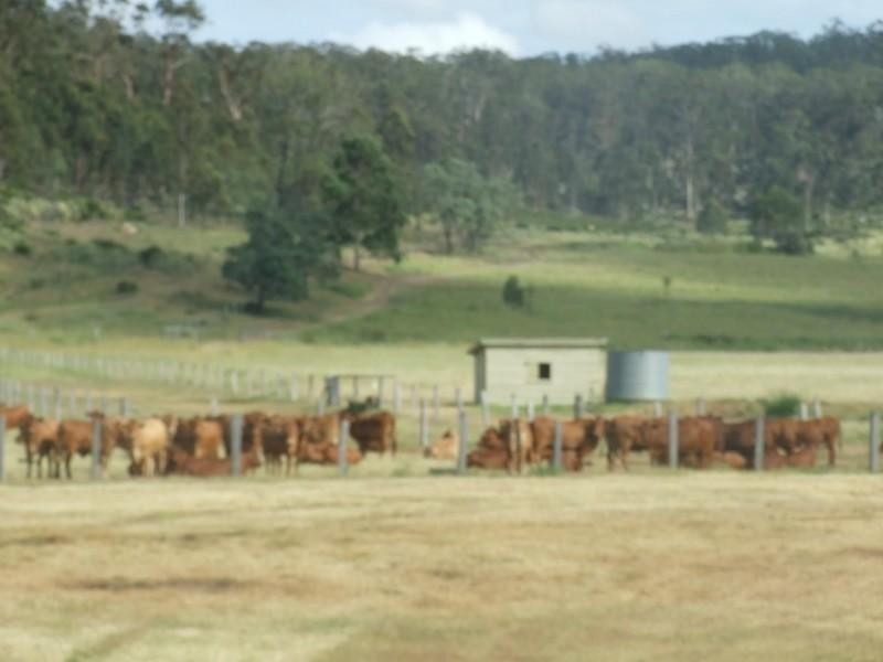 109 Lebsanft Road, Toowoomba QLD 4350