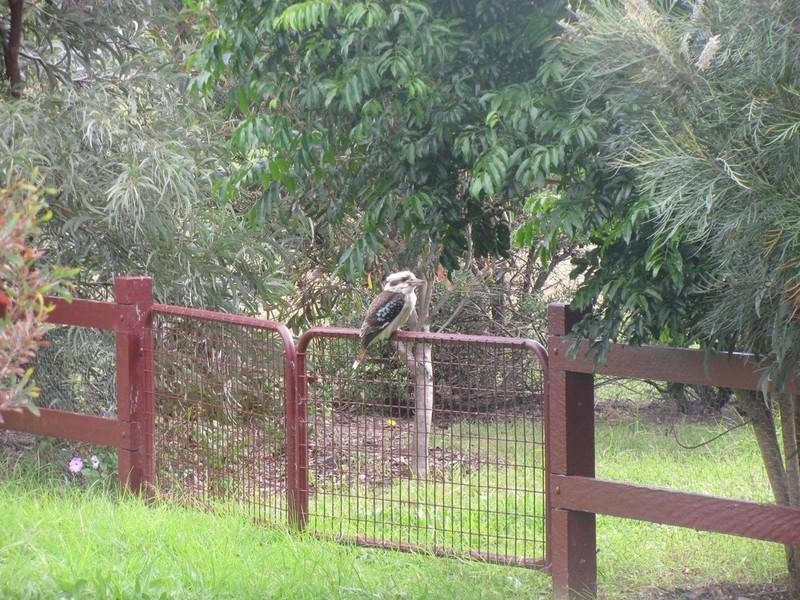 6 Short Street, Crows Nest QLD 4355